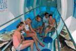 Cairns   Reef Cruises   Activity  •  Sunlover Cruises