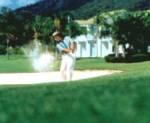 Cairns   Golf Courses   Activity  •  Paradise Palms
